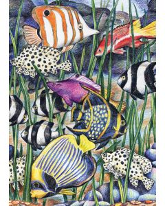 Royal Brush Mini Color Pencil By Number Kit 5"X7"-Tropical Fish