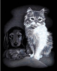 Reeves Silver Scraperfoil Kit 8"X10"-Pet Friends