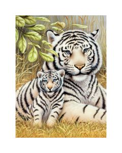 Royal Brush Junior Small Paint By Number Kit 8.75"X11.75"-White Tiger Pair