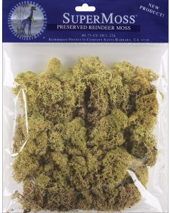 Supermoss Preserved Reindeer Moss 2oz-Moss Green