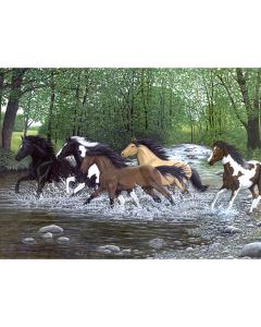 Royal Brush Paint By Number Kit 15.375"X11.25"-Free Spirit