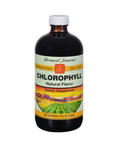 Bernard Jensen Chlorophyll Natural Liquid - 16 fl oz