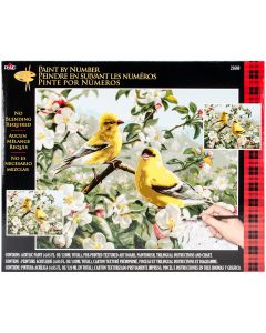 Plaid:Craft Paint By Number Kit 16"X20"-Goldfinches