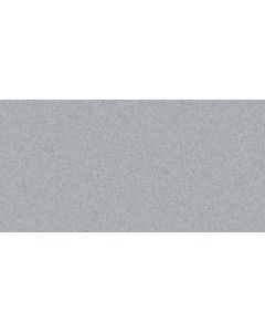 Clearsnap ColorBox Metallic Pigment Mini Ink Pad-Silver