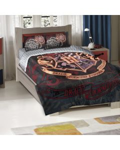 The Northwest Company Harry Potter-School Motto Entertainment Twin/Full Bedding Set