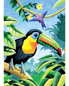 Royal Brush Mini Color Pencil By Number Kit 5"X7"-Tropical Birds