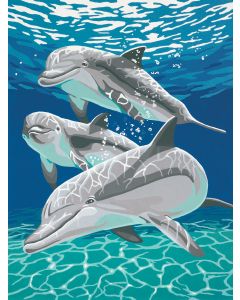 Dimensions Paint Works Paint By Number Kit 9"X12"-Sunlit Pals